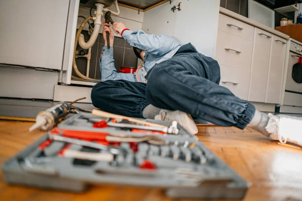 Best Same-Day Plumbing Service  in Gaylord, MN