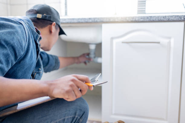 Best Affordable Plumbing Services  in Gaylord, MN