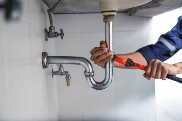 Best Local Plumber Services  in Gaylord, MN