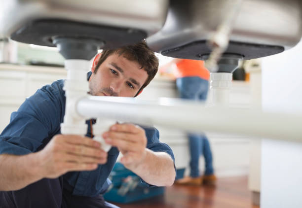 Best Residential Plumbing Services  in Gaylord, MN